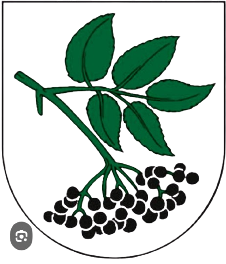 Logo Obec Bžany